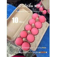 ราคา ไข่เยี่ยวม้า 10ฟอง ไม่เป็นน้ำ เนื้อเป็นวุ้น (22928098243)