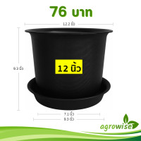 ราคา กระถาง กระถางต้นไม้ มินิมอล จัมโบ้ จาน ขนาด 12 นิ้ว สีดำ สีขาว สีเทา สีอิฐ สีโอ๊ค (22686826205)