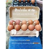 ราคา ไข่ไก่ เบอร์1 10ฟอง ไข่ธรรมชาติ สดใหม่วันต่อวัน (22928050157)