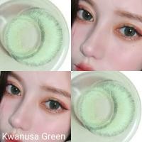 ราคา คอนแทคเลนส์ บิ๊กอาย รุ่น Kwanusa สีเทา ตาล choco ดำ ฟ้า ม่วง เขียว gray brown choco black blue violet green (15894555374)