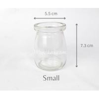 ราคา แก้วปลูกไฮยาซิน หรือทิวลิป สำหรับปลูกหัวไฮยาซิน หัวทิวลิป ปลูกในน้ำ Wanthai ขายหัวลิลลี่ ว่านสี่ทิศ ทิวลิป ต้นไม้ฟอกอากาศ เมล็ดดอกไม้ (927740257)