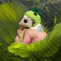 ราคา V หมวกไหมพรม จิ๋ว มินิ หมวกจิ๋ว หมวกมินิ หมวก สัตว์เล็ก ชูการ์ กระรอก แฮมสเตอร์ ดอร์เมาส์ ชูก้า เสื้อ ชุด เสื้อผ้า (19470286734)