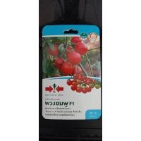 ราคา มะเขือเทศสีดาลูกผสม พวงชมพู SD F1 063 ผักซอง ศรแดง F1 เมล็ดพันธุ์ มะเขือเทศ เมล็ดพันธุ์ลูกผสม เมล็ดพันธุ์ผัก ผักสวนครัว ผักศรแดง (20115298045)