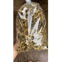 ราคา เห็ดลมทอด สมุนไพร 500กรัม (22411138694)