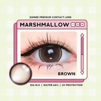 ราคา คอนแทคเลนส์ บิ๊กอาย Marshmallow Brown Gray Shinee ลายฮิต ขายดีมาก กรองแสงกันยูวี (21587380127)