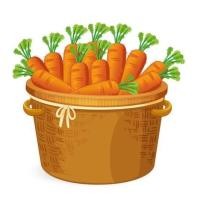 ราคา หัวน้ำหอมกลิ่นแครอท หัวน้ำหอมแท้100 หัวน้ำหอมใส่สบู่ หัวน้ำหอมใส่ครีม ใส่โลชั่น ขนาด30ML 100ML (19234049030)