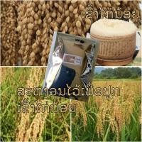 ราคา เมล็ดพันธุ์ข้าวเหนียวไก่น้อยหอมมากเหนียวนุ่มหนึบ เมล็ดพันธุ์ข้าวพื้นเมือง เมล็ดพันธุ์ข้าวหายากของแท้ชุดประมาณ2000เมล็ดข้าว (14299522461)