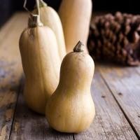 ราคา 10 เมล็ด ฟักทองบัตเตอร์นัท ฟักทอง บัตเตอร์นัท สควอช เมล็ดพันธุ์ Butternut Squash Seeds (21899309381)