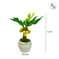 ราคา ต้นมะยม ต้นไม้มงคล ต้นไม้ดินปั้น ต้นไม้ประดับ ต้นไม้เสริมบารมี (17583079829)