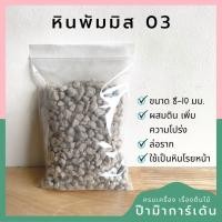 ราคา หินภูเขาไฟ หินพัมมิส สำหรับ แคคตัส กระบองเพชร BY Pumice (17340766669)