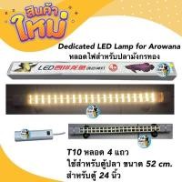 ราคา Dedicated LED Lamp for Arowana หลอดไฟสำหรับปลามังกรทอง T10 หลอด 4 แถวใช้สำหรับตู้ปลา ขนาด 52 cm สำหรับตู้ 24 นิ้ว (19011544861)