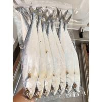 ราคา ปลาสีเสียดตากแห้ง น้ำหนัก 500 กรัม ของดีทะเลใต้ ส่งไว สะอาด อร่อย ปลาสีเสียด ปลาเค็ม ปลา อาหารแห้ง อาหารทะเล (22621098246)