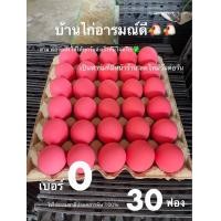 ราคา ไข่เยี่ยวม้าเนื้อเป็นวุ้น 30ฟอง พร้อมส่ง (22926866867)