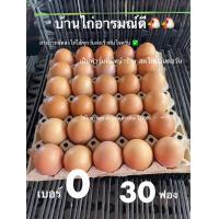 ราคา ไข่ไก่เบอร์0 30ฟอง ปลอดสารพิษ (22925681352)