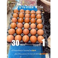 ราคา ลด25 ไข่ไก่ เบอร์1 30ฟอง ปลอดสารพิษ (22927878856)