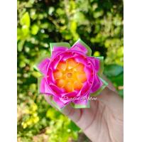 ราคา ชมพูหวานพร้อมส่ง เหรียญโปรยทาน ดอกบัวดาว ตัวเปล่าชุด10ชิ้น พรีออเดอร์ ไม้กฐิน ไม้เสียบธนบัตร ติดดอกบัวดาว (22200651173)