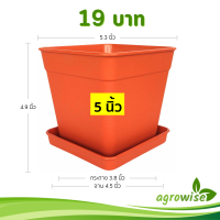 ราคา กระถางแคคตัส กระถางสี่เหลี่ยม พร้อมจานรอง 5 5 3 นิ้ว สีอิฐ Bundle 12 ชุด ใบ (22697228071)