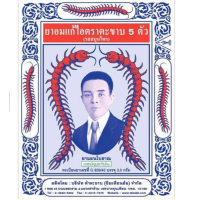 ราคา ยาอมแก้ไอ ตราตะขาบ 5 ตัว ชนิดซอง 3 g ยาสามัญประจำบ้าน (22922678999)