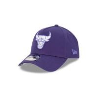 ราคา CHICAGO BULLS GRAPE PURPLE MONOTONE 9FORTY AF CAP (21602787670)