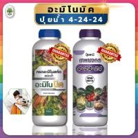 ราคา อะมิโนมิค ปุ๋ยน้ำ 4 24 24 บำรุงต้น เร่งราก เร่งดก เร่งผล เขียวเร็ว สูตรปุ๋ยเร่งต้นไม้ให้โตเร็ว (22586514514)