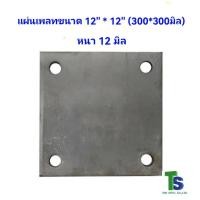 ราคา แผ่นเพลทเหล็ก 12 นิ้ว 12มิล (21401168776)