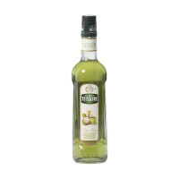 ราคา Mathieu Teisseire Pistachio syrup ไซรัป แมททิวเตสแซร์ กลิ่นพิสตาชิโอ 70 cl (21733778039)