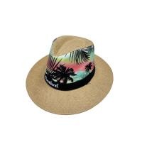 ราคา CH Shop หมวกปานามา ลายไทยแลนด์ หมวกปีกกว้าง สีสันสวยงาม (22361314880)
