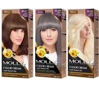 ราคา มอลลี่ คัลเลอร์ ครีม Molly Color Cream แม่สี สีผมมอลลี่ มอลลี่สีย้อมผม สีย้อมผมแฟชั่น 100 มล (19516381481)