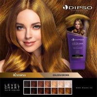 ราคา ดิ๊พโซ่ ซุปเปอร์ซายน์ แฮร์คัลเลอร์ แว๊กซ์ DIPSO Super shine hair color wax น้ำยาเปลี่ยนสีผม ผลิตภัณฑ์เปลี่ยนสีผม ขนาด 150 ml พร้อมส่ง (22689364907)