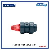 ราคา Astralpool Spring foot valve 1 5 ฟุตวาล์ว ชนิดสปริงพร้อมตะกร้ากรอง (9056437202)