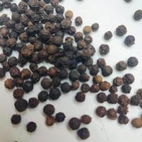 ราคา พริกไทยดำ พริกไทยเม็ด พริกไทย Black Pepper Corn ขนาด 500 กรัม (4652222850)