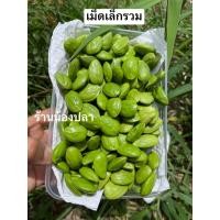 ราคา สะตอแกะ แกะใหม่ไม่แช่น้ำ ขนาด300กรัม (22721878785)