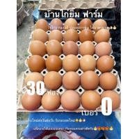 ราคา ไข่ไก่เบอร์0 30ฟอง สดใหม่แดงดี ส่งฟรี (22927915259)