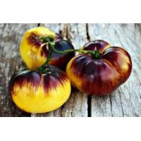 ราคา เมล็ดพันธุ์ มะเขือเทศ Great White P 20 Tomato Seeds (7403669134)