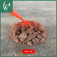 ราคา วัสดุกรอง หินภูเขาไฟ เซรามิกริงค์ พร้อมถุงตาข่ายแดง ปริมาณ 1 กิโลกรัม วัสดุกรองกรองน้ำตู้ปลา บ่อปลา บำบัดน้ำใส ลดของเสีย (22973232941)