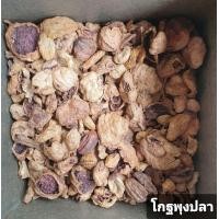 ราคา สมุนไพร โกฐพุงปลา อบแห้ง อย่างดี 100กรัม (9550336730)