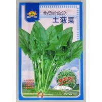 ราคา เมล็ดปวยเล้ง ปวยเล้งญี่ปุ่น 250 1600เมล็ด 5 40กรัม สายพันธุ์ OP (21461941074)