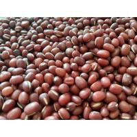 ราคา ถั่วแดงญี่ปุ่น auzuki ถั่วทำไส้ขนม ถั่วแดง ขนาด 200 กรัม (20435693335)