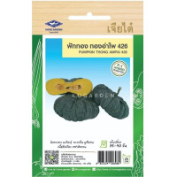 ราคา ฟักทอง ทองอำไพ 426 CT F1 053 ผักซอง เจียไต๋ F1 จำนวนประมาณ 20เมล็ด เมล็ดพันธุ์ผัก เมล็ดผัก เมล็ดพืช ผักสวนครัว (20051221930)
