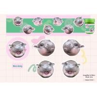 ราคา Sticker สติกเกอร์ติดยาดมหงส์ไทย ลายหมูเด้ง กันน้ำได้ ไดคัทแล้ว 20 บาท (22917015771)