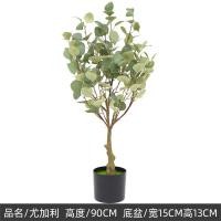 ราคา ต้นยูคาลิปตัสใบกลม Eucalyptus polyanthemos ต้นยูคาลิปตัสปลอมขนาดใหญ่สำหรับตกแต่งกระถางต้นไม้ในร่มและกลางแจ้ง อุปกรณ์ตกแต่งบ้าน ของขวัญ (22416371722)