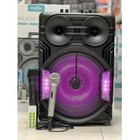 ราคา ลำโพงบลูทูธ รุ่นGTS 2069 ดอก12นิ้ว แถมไมค์ลอย ไมค์สาย รีโมท รองรับAUX TF USB ปรับเบสและแอคโค่ได้ (22586937288)