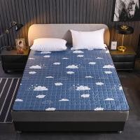 ราคา ล้างทําความสะอาดได้ Four Season ที่นอน Protector Tatami กันลื่น ผ้าปูที่นอนคู่เดียวสําหรับหอพักนักเรียนสไตล์โมเดิร์น เรียบง่าย (22404665093)