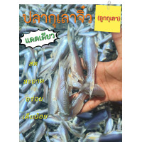 ราคา ปลากุเลาจิ๋ว ลูกกุเลา แดดเดียว สูตรเค็มน้อย แพค 500กรัม ทอดกรอบทานได้ทั้งก้าง อร่อยสดสะอาดเค็มกำลังทาน (22796454557)