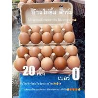 ราคา ไข่ไก่ เบอร์0 20ฟอง ปลอดสารพิษ ส่งฟรี (22927918548)