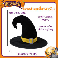 ราคา พร้อมส่ง หมวกฮาโลวีน หมวกแม่มด หมวกพ่อมด หมวกปลายแหลม ส่งไวมาก กอ ไก่ ล้านตัว (22783606287)