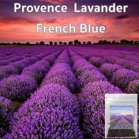 ราคา เมล็ดลาเวนเดอร์ 200 เมล็ด Provence Lavander French Blue ไม่ใช่ลาเวนเดอร์อังกฤษ (21519622315)