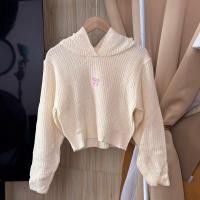 ราคา SpinnyHouse เสื้อครอปไหมพรม เสื้อกันหนาวมีฮู้ด สเวตเตอร์ปักลายโบว์น่ารัก ผ้าไหมพรมยืดเยอะมาก พร้อมส่ง รุ่น ไหมพรมฮู้ด (22965339893)