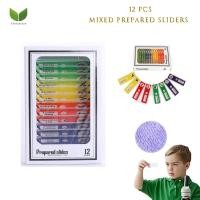 ราคา Eversalute กล้องจุลทรรศน์แบบพกพาไฟ LED 60x 120x กล้องจุลทรรศน์แบบถือด้วยมือกล้องจุลทรรศน์ใช้พลังงานจากแบตเตอรี่พร้อมไฟ LED เด็กกล้องจุลทรรศน์วิทยาศาสตร์ (18413613451)