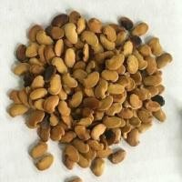 ราคา เมล็ดพันธุ์ต้นพยูง พยุงไหลหลำ พยูง ต้นพยุง พยุง (5491724777)